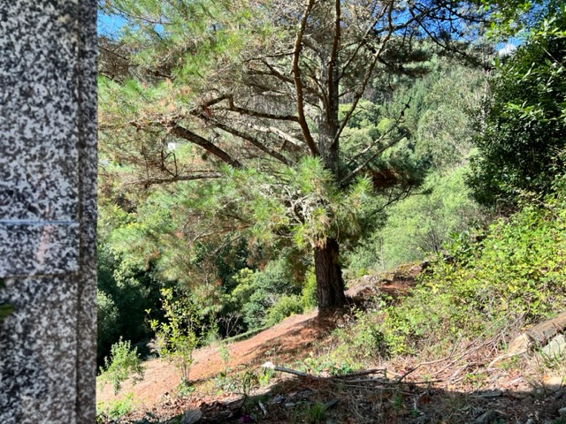 Hoy tendría que haber vuelto al trabajo…